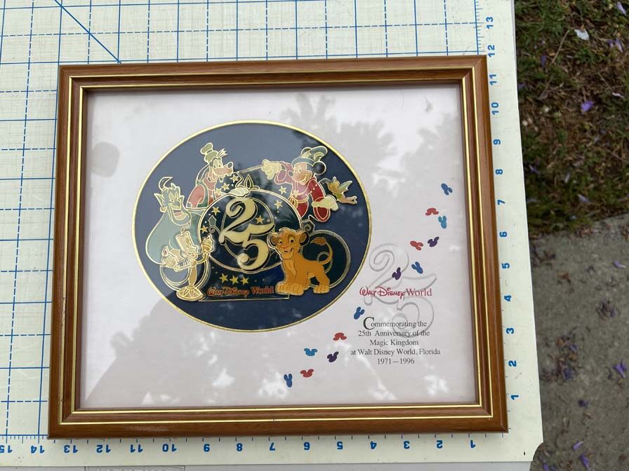 framed pin set from the 1996 Walt Disney World 25th Anniversary celebration - Image 2