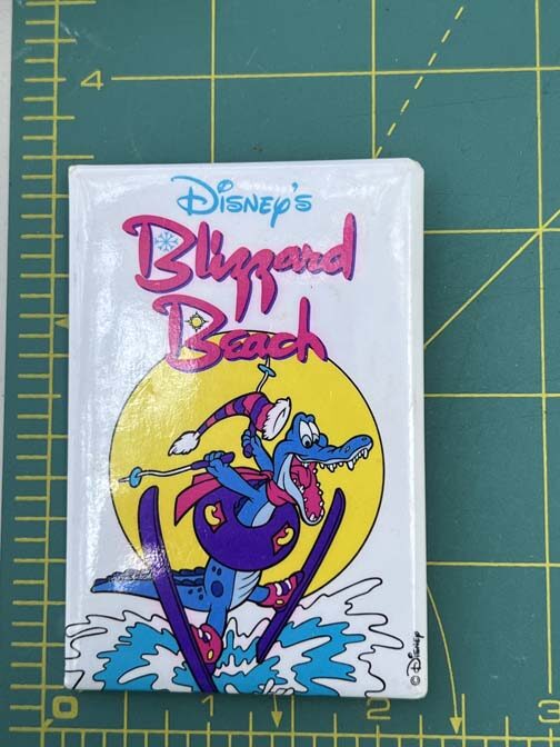 2019 Disney's Blizzard Beach